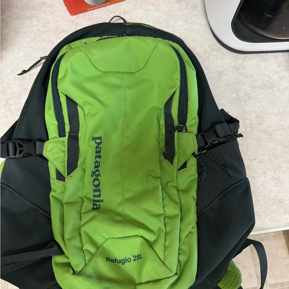 Patagonia Refugio 28L Black and Green Backpack